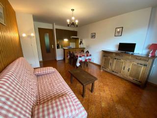 Studio 4 couchages, proche télécabine, parking, animaux acceptés - FR-1-241-75 - Le Grand-Bornand - 0