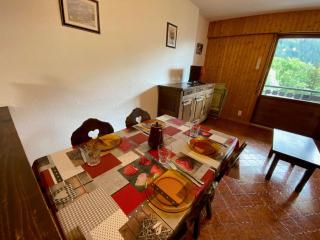 Studio 4 couchages, proche télécabine, parking, animaux acceptés - FR-1-241-75 - Le Grand-Bornand - 3
