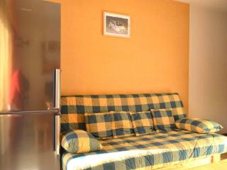 Studio ensoleillé avec balcon Sud, parking, navette, 4 couchages - Le Grand-Bornand - FR-1-241-98 - Le Grand-Bornand - 0