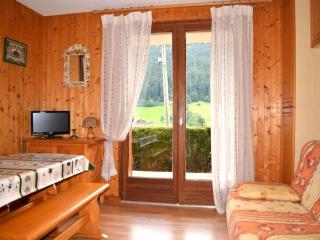 Studio avec Terrasse et Casier à Ski - Le Grand-Bornand - FR-1-241-95 - Le Grand-Bornand - 0