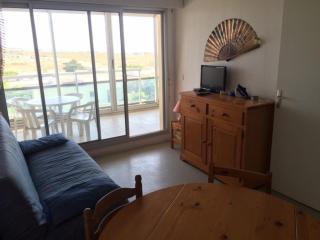 Appartement T2 pour 4 pers, plage à 20m, parking, lave-linge - FR-1-81-201 - Port Leucate - 8