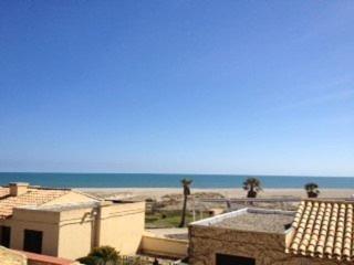 Villa T3 3/4 pers - Clim, WiFi, Parking - Port Leucate - FR-1-81-341 - Port Leucate - 9