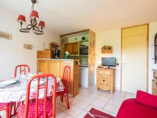 Charmant 3 pièces pour 6 pers. avec terrasse sur piste, Valmorel - FR-1-291-719 - Valmorel - 9