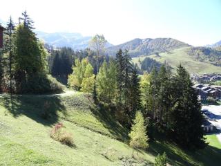 Appartement duplex 5 pièces rénové, Crève-Coeur, 8 pers, animaux acceptés - FR-1-291-720 - 8