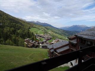 Studio cosy, animaux admis, parking disponible, Valmorel - FR-1-291-768 - Valmorel - 1