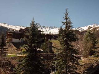 Appartement 3 pièces avec balcon, animaux admis, parking. 7 couchages, Hameau de la Forêt - FR-1-291-776 - Valmorel - 1