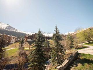 Appartement 3 pièces avec balcon, animaux admis, parking. 7 couchages, Hameau de la Forêt - FR-1-291-776 - 1