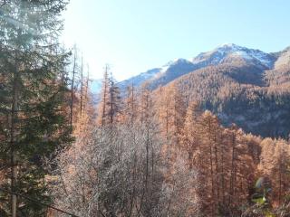 Studio cosy skis aux pieds, balcon sud-est, 400m centre station, parking, quartier calme - FR-1-322-97 - Les Orres - 1
