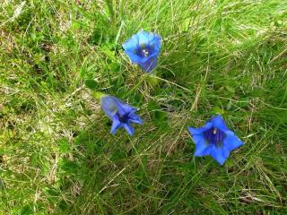 Appartement 2 Pièces 4 Pers | Centre Cauterets - FR-1-234-139 - Cauterets - 2