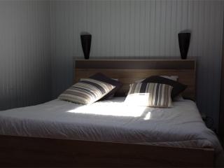 Pavillon T1+Mezzanine 4 pers, clim, parking, proche lac et plage - FR-1-81-404 - Port Leucate - 9