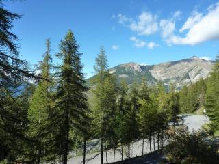 Appartement cosy, skis aux pieds, proche centre station, balcon sud, 6 pers. - FR-1-322-197 - 5
