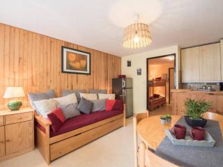 Appartement cosy 4 pers, cœur de Saint-Lary, balcon, navette gratuite, proche télécabine - FR-1-296-152 - Saint-Lary-Soulan - 0