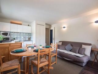 Appartement calme 6 personnes, parking, balcon, animaux admis – Saint Lary Village - FR-1-296-148 - 0