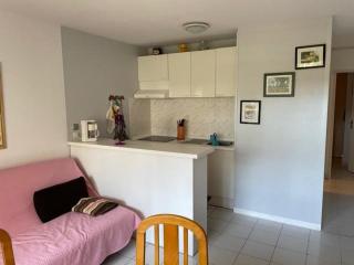 Charmant T2 avec piscine et terrasse face au lac, parking privé, animaux acceptés - FR-1-379-55 - Soustons - 7