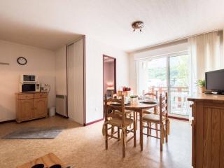 Appartement ensoleillé pour 4 pers, balcon, parking, proche thermes et téléphérique, St-Lary Village - FR-1-296-195 - Saint-Lary-Soulan - 0