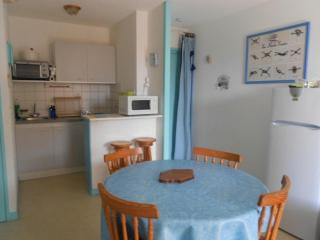 Appartement T2 Cabine au bord du lac, 6 pers, animaux admis - FR-1-379-24 - Vieux-Boucau-les-Bains - 9