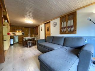 Appartement cosy 6 personnes avec grande terrasse et parking, près des activités - FR-1-241-181 - Le Grand-Bornand - 9