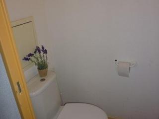 Appartement 6 pers, pied des pistes, balcon, parking couvert, animaux OK, Grand Tourmalet - FR-1-404-56 - La Mongie - 4