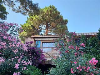 Argelès-sur-Mer: Appartement 3 pièces + mezzanine, 6 couchages, près de la plage, parking - FR-1-388-28 - 0