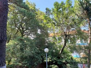 Argelès-sur-Mer: Appartement 3 pièces + mezzanine, 6 couchages, près de la plage, parking - FR-1-388-28 - 2