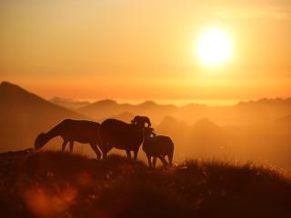 Charmant studio à Cauterets avec balcon, parking couvert et proche télécabine - FR-1-401-24 - Cauterets - 1