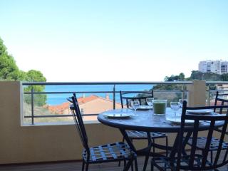 Appartement moderne 2 chambres avec terrasse, parking et climatisation à Banyuls-sur-Mer - FR-1-225C-531 - Banyuls-sur-Mer - 2