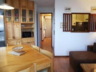 Appartement confort 2P, 6 pers, cœur de station, accès direct pistes, cheminée, WiFi, TV, balcon ouest - FR-1-322-297 - Les Orres - 0