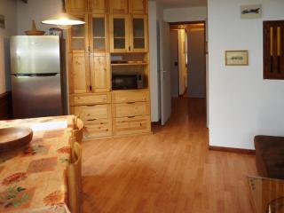 Appartement confort 2P, 6 pers, cœur de station, accès direct pistes, cheminée, WiFi, TV, balcon ouest - FR-1-322-297 - Les Orres - 7