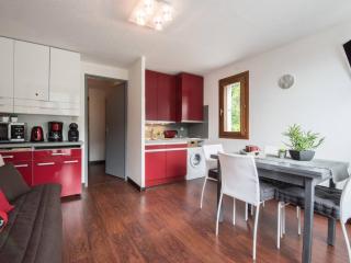 Appartement Près du Centre avec Parking et Navette - FR-1-296-239 - Saint-Lary-Soulan - 0