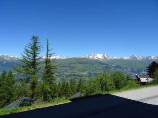 Appartement duplex 3 pièces, 6 pers, Vallandry, accès pistes, animaux admis - FR-1-411-83 - Landry - 7