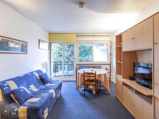 Studio lumineux pour 6 personnes près des pistes et des commerces - FR-1-400-63 - Gourette - 0