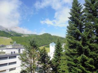 Studio lumineux pour 6 personnes près des pistes et des commerces - FR-1-400-63 - Gourette - 2