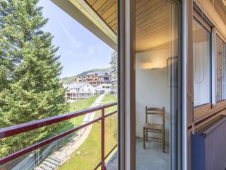 Studio lumineux pour 6 personnes près des pistes et des commerces - FR-1-400-63 - Gourette - 3