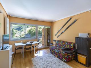 Studio cabine 4 personnes, proche des pistes à Gourette - FR-1-400-65 - Gourette - 2