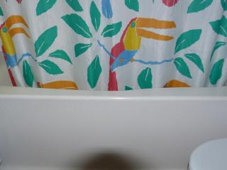 Charmettoger, Duplex 6 pers, Balcon Sud-Ouest, Pieds des pistes, Arc 1800 - FR-1-411-12 - Arc 1800 - 3