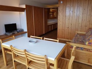 Studio coin montagne 5 pers, proche pistes et commerces, avec terrasse exposée Sud - FR-1-411-36 - Arc 1600 - 0