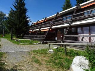 Studio coin montagne 5 pers, proche pistes et commerces, avec terrasse exposée Sud - FR-1-411-36 - 2