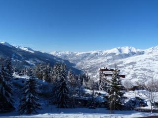 Appt 2 pièces, 6 pers. près des pistes, commerces et ESF - Arc 1800 - FR-1-411-107 - 6