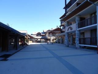 Appartement 2 pièces proche pistes avec balcon et TV à Vallandry - FR-1-411-285 - Landry - 9