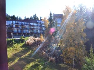 Studio cosy 4 pers, proche pistes et commerces, animaux admis, Wifi - FR-1-411-346 - Arc 1800 - 8
