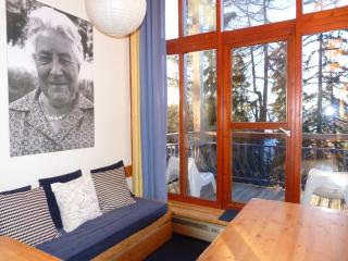 Duplex cosy 5 pers, proche pistes et commerces, balcon exposé SE, animaux admis - FR-1-411-384 - 1