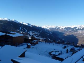 Appartement 2 pièces 5 personnes, pied des pistes, animaux acceptés, WiFi, parking - FR-1-411-269 - 8