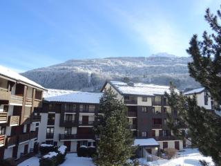 Studio pour 3 personnes avec piscine et proche funiculaire - FR-1-411-279 - Bourg-Saint-Maurice - 6