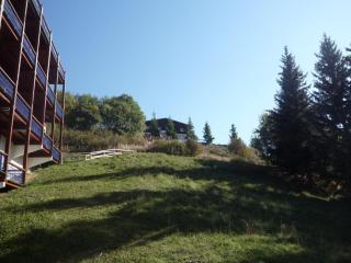 Duplex idéal pour 5 pers, ski aux pieds, Arc 1800, balcon sud, parking, animaux acceptés - FR-1-411-310 - Arc 1800 - 1