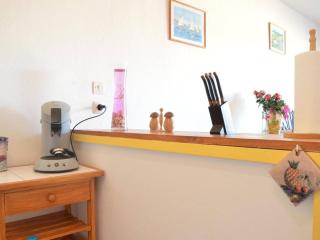 Studio cabine climatisé 4 pers, proche plage, parking - FR-1-225C-533 - Banyuls-sur-Mer - 1