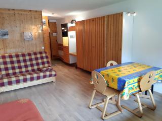 Grand studio rénové pour 3 pers. à Arc 1600, ski aux pieds, proche commerces, animaux admis - FR-1-411-413 - Arc 1600 - 0