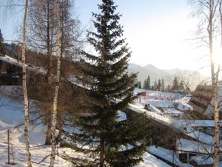 Studio 4 pers, ski aux pieds, proche commerces, balcon sud, Arc 1600 - FR-1-411-452 - Arc 1600 - 8