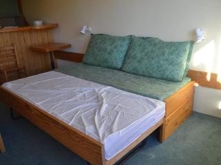 Studio 5 pers skis aux pieds, proche commerces - Animaux admis - FR-1-411-416 - 6