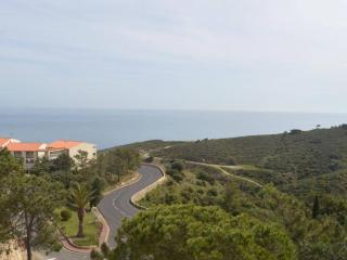 Appartement T2 climatisé avec parking proche mer - FR-1-225C-6 - Banyuls-sur-Mer - 6