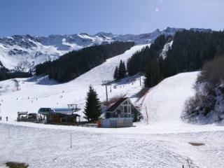 Appartement 2 pièces au pied des pistes, balcon, casier à ski, parking gratuit - FR-1-557-62 - Les Adrets - 6